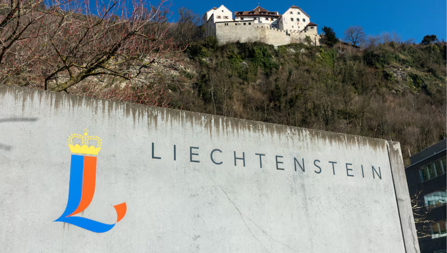 Liechtenstein Register Breach Exposes Ownership Records of 31,000 Entities